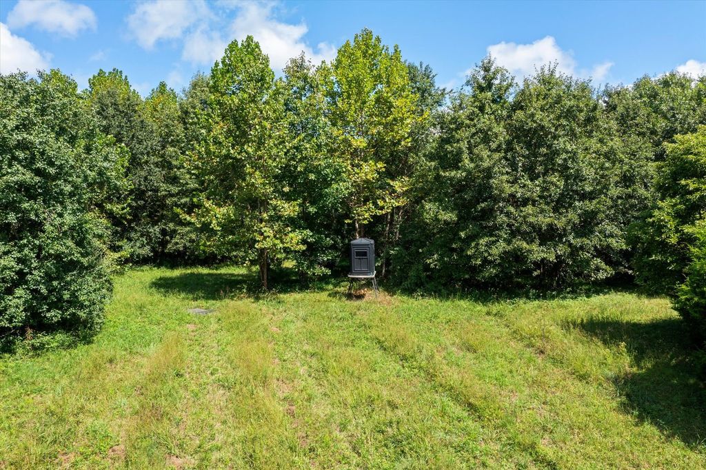 Image 42 of property listing at 7302 River Road, Iuka, IL 62849