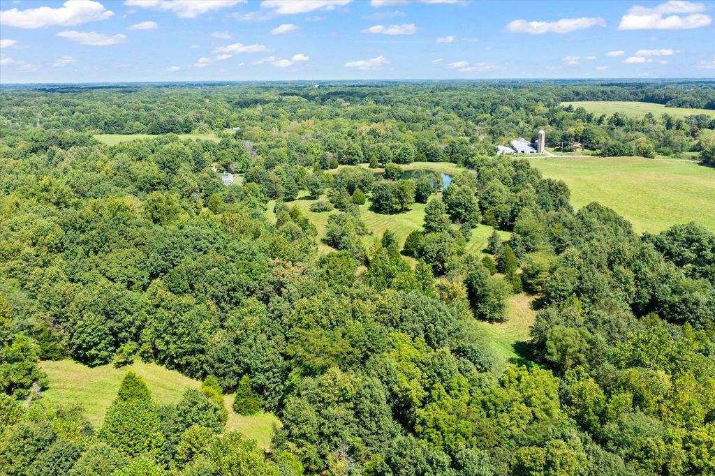 Image 43 of property listing at 7302 River Road, Iuka, IL 62849