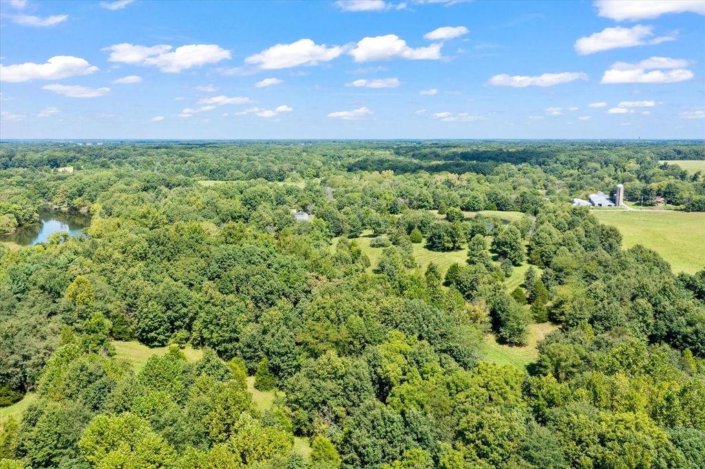 Image 47 of property listing at 7302 River Road, Iuka, IL 62849