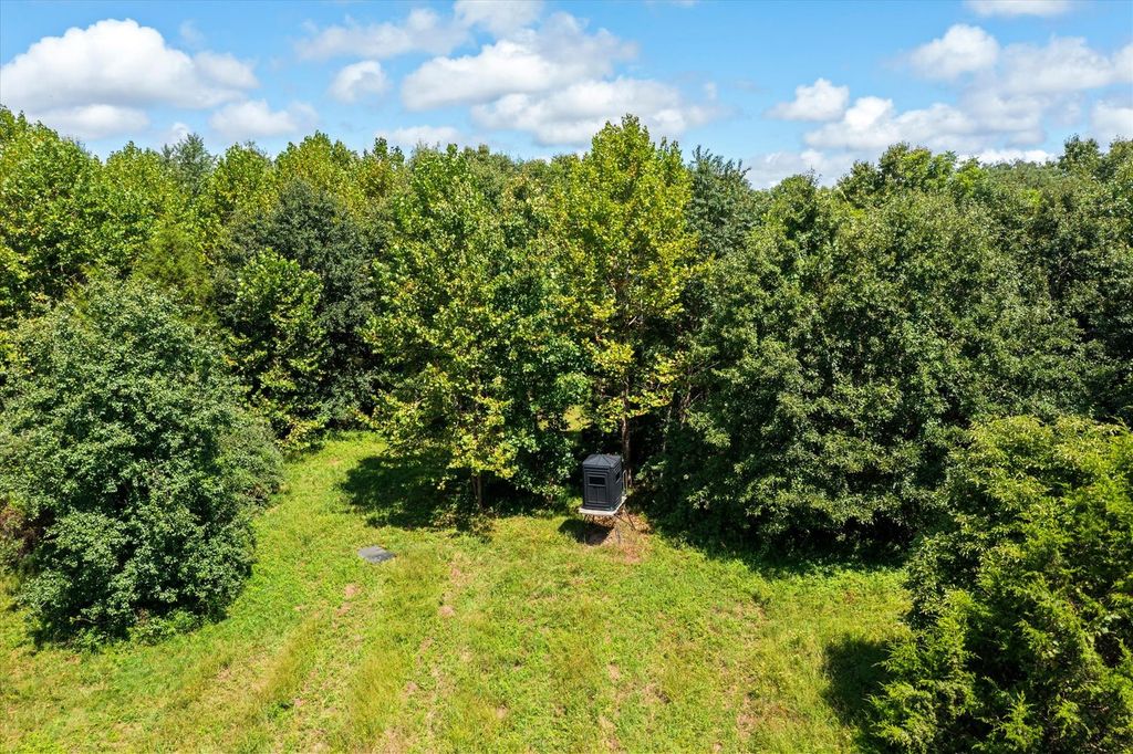 Image 48 of property listing at 7302 River Road, Iuka, IL 62849