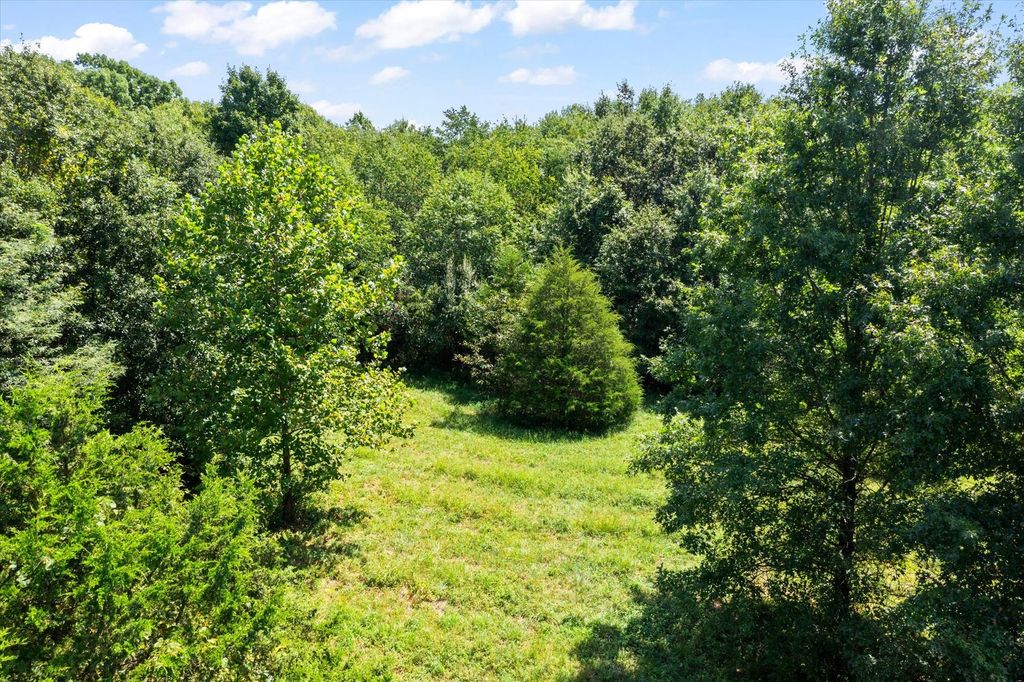 Image 49 of property listing at 7302 River Road, Iuka, IL 62849