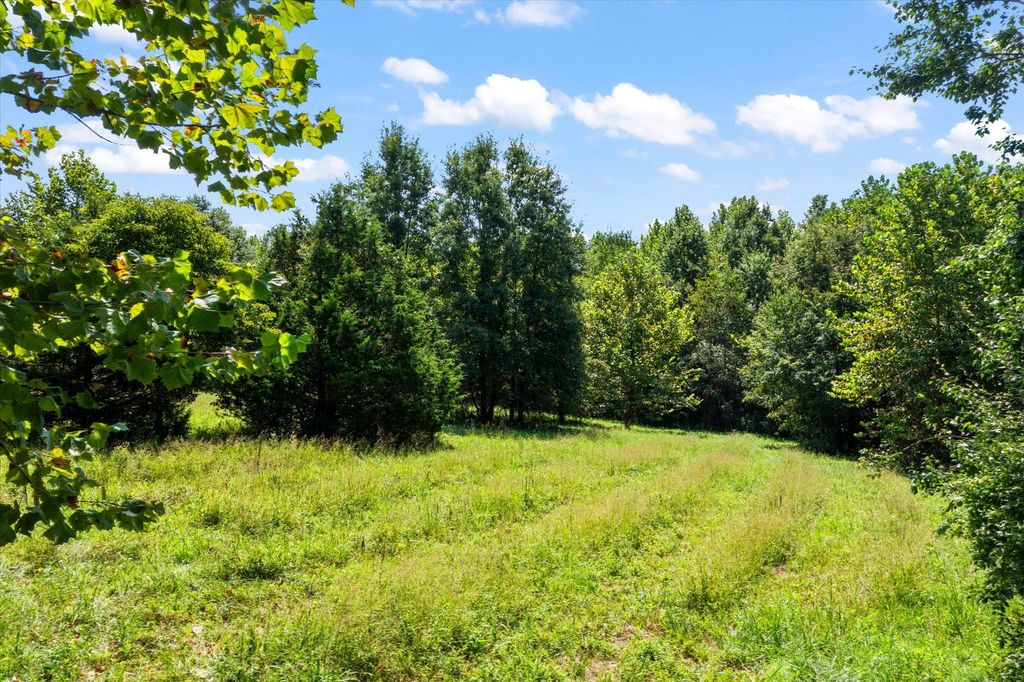 Image 50 of property listing at 7302 River Road, Iuka, IL 62849