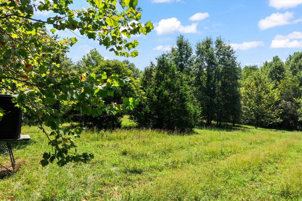 Image 51 of property listing at 7302 River Road, Iuka, IL 62849