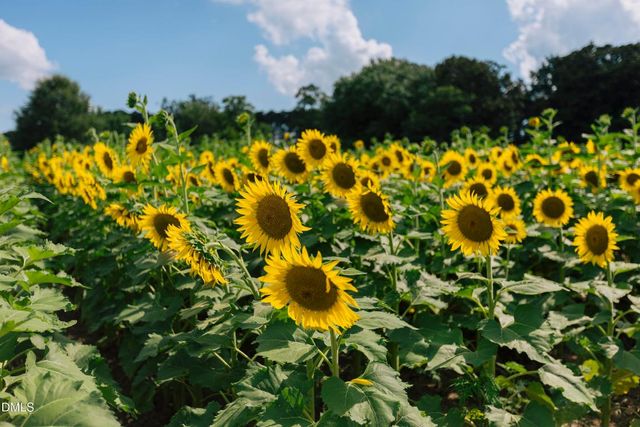 320 S Tarboro Street, Raleigh, NC 27610