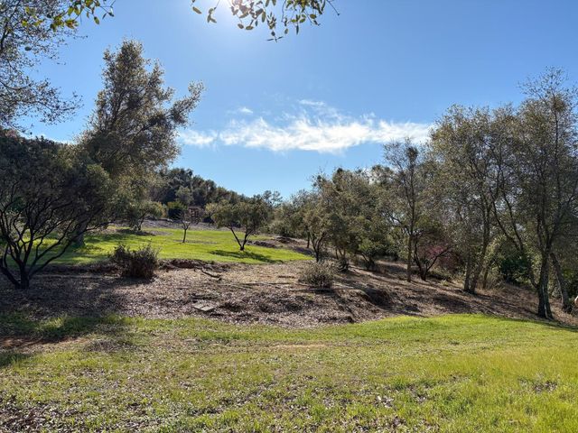 2920 Martel Crk, Rescue, CA 95672