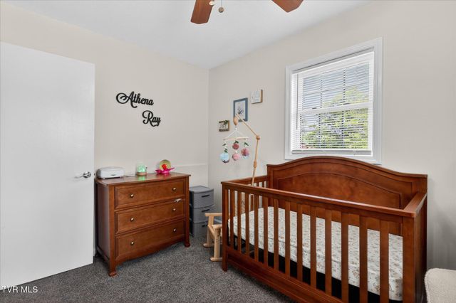 8 Birch Street, Bristol, TN 37620