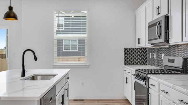 14214 Beebalm Avenue, Parker, CO 80134