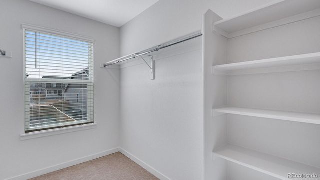 14214 Beebalm Avenue, Parker, CO 80134