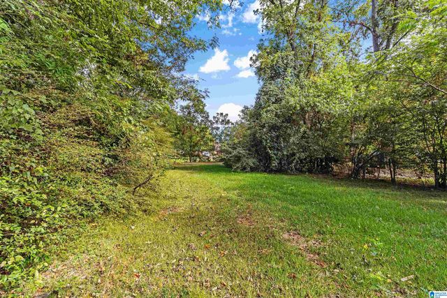 1317 GULFPORT STREET, Birmingham, AL 35224