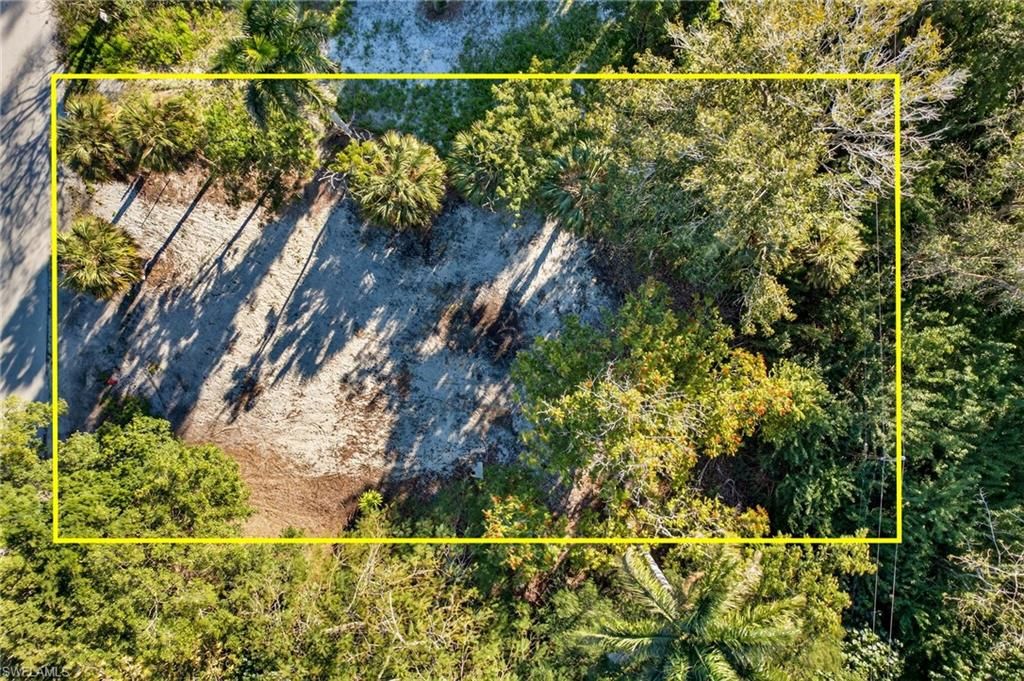 2596 Holly AVE, NAPLES, FL 34112 — photo 5