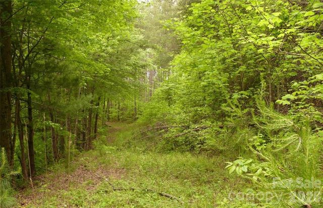 0 Vineyards Way 14, Lake Lure, NC 28746