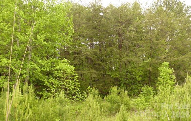 0 Vineyards Way 14, Lake Lure, NC 28746