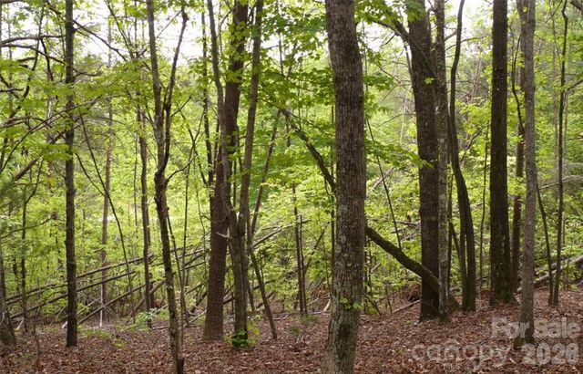 0 Vineyards Way 14, Lake Lure, NC 28746