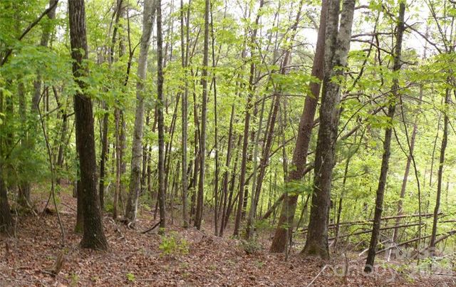 0 Vineyards Way 14, Lake Lure, NC 28746