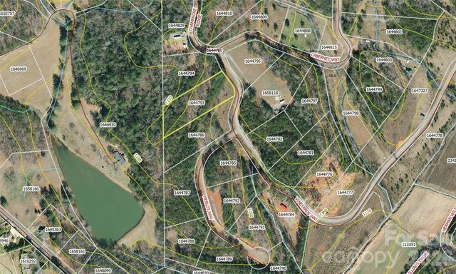 0 Vineyards Way 14, Lake Lure, NC 28746