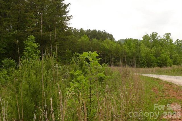 0 Vineyards Way 14, Lake Lure, NC 28746