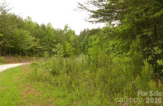 0 Vineyards Way 14, Lake Lure, NC 28746