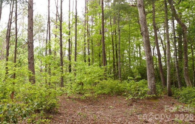 0 Vineyards Way 14, Lake Lure, NC 28746