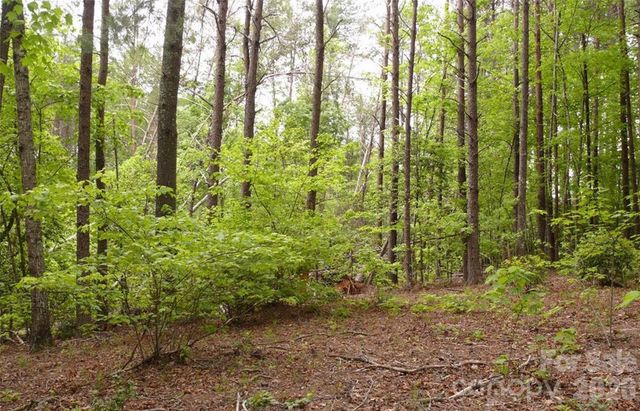 0 Vineyards Way 14, Lake Lure, NC 28746