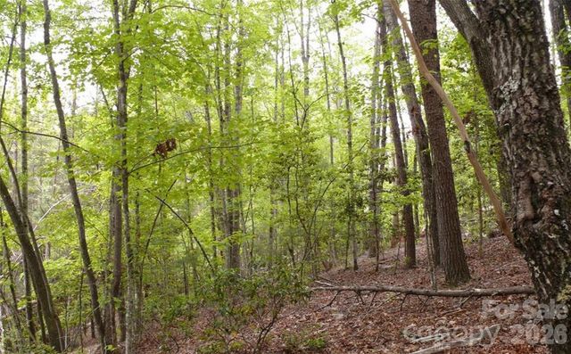 0 Vineyards Way 14, Lake Lure, NC 28746