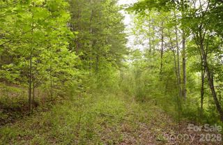 0 Vineyards Way 14, Lake Lure, NC 28746
