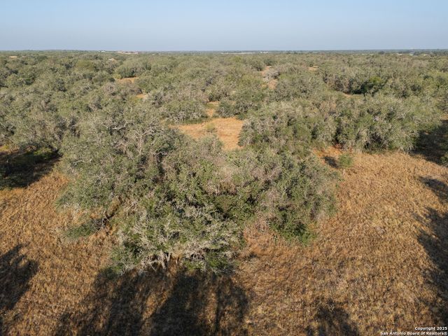 353 pr dax, Pleasanton, TX 78064