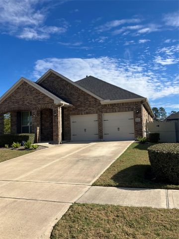 10442 Eastern Bluestar Drive, Conroe, TX 77385