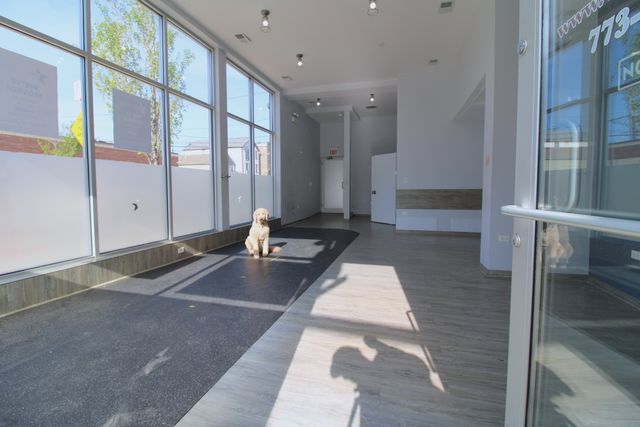 859 N Ashland Avenue Commercial, Chicago, IL 60622