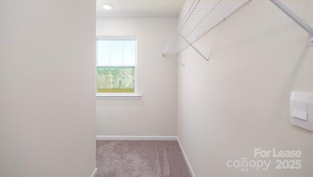 14015 Wilson Mac Lane, Charlotte, NC 28278