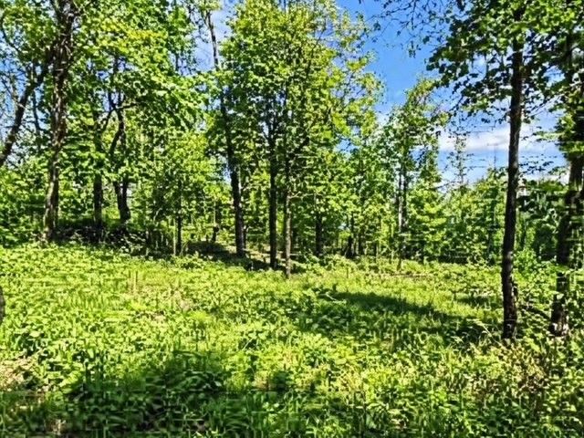 832b W Of Seven Hills Rd, Concord Twp, PA 16025