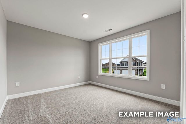 119 Cotita Drive, Toney, AL 35773