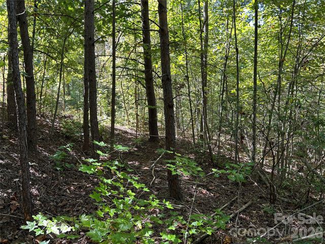 168 Robinwood Trail, Bostic, NC 28018