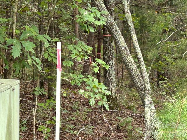 168 Robinwood Trail, Bostic, NC 28018