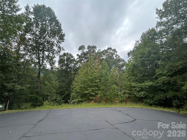 168 Robinwood Trail, Bostic, NC 28018