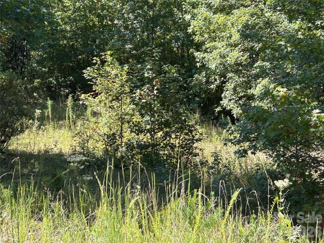 168 Robinwood Trail, Bostic, NC 28018