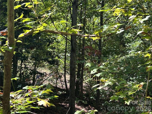 168 Robinwood Trail, Bostic, NC 28018
