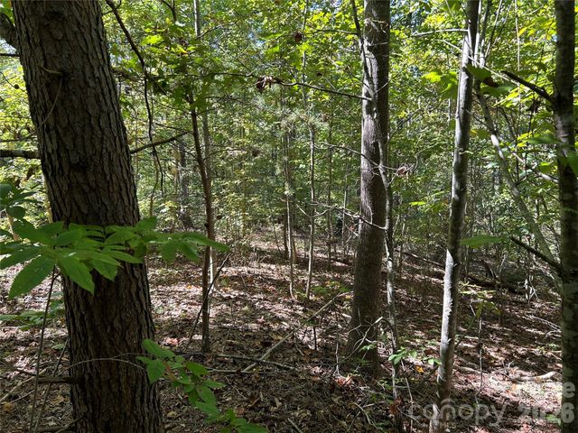 168 Robinwood Trail, Bostic, NC 28018