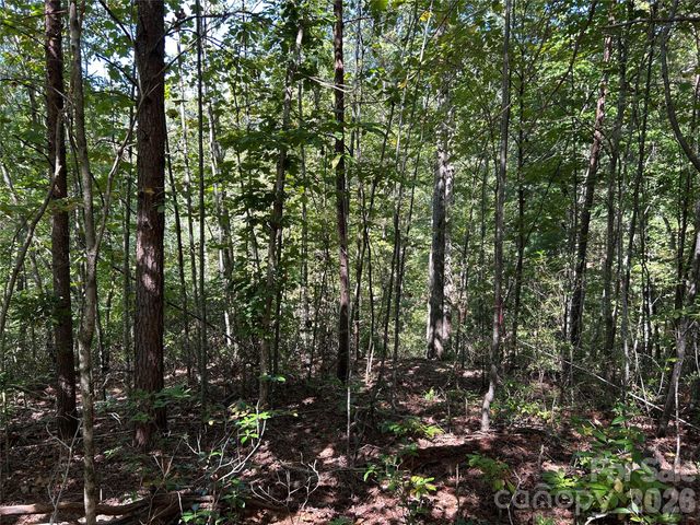 168 Robinwood Trail, Bostic, NC 28018