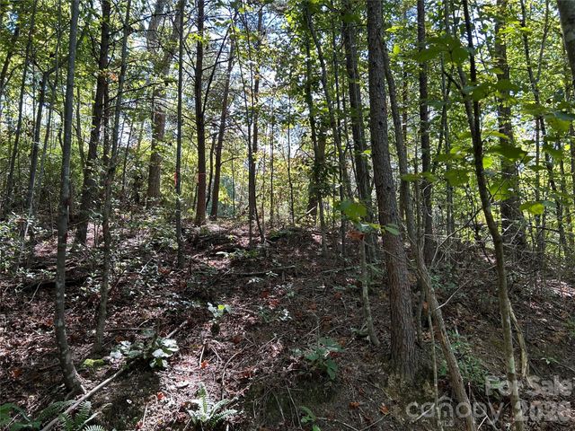 168 Robinwood Trail, Bostic, NC 28018