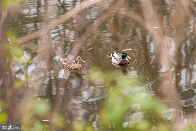 2012 SWANS NECK WAY, Reston, VA 20191