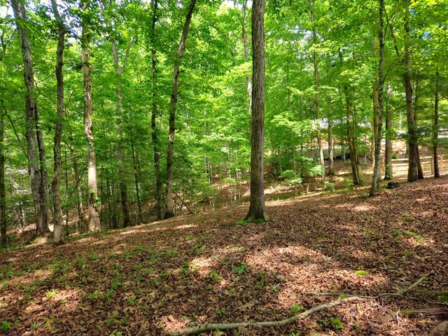 211 Winding Brook Trail, Morganton, GA 30560