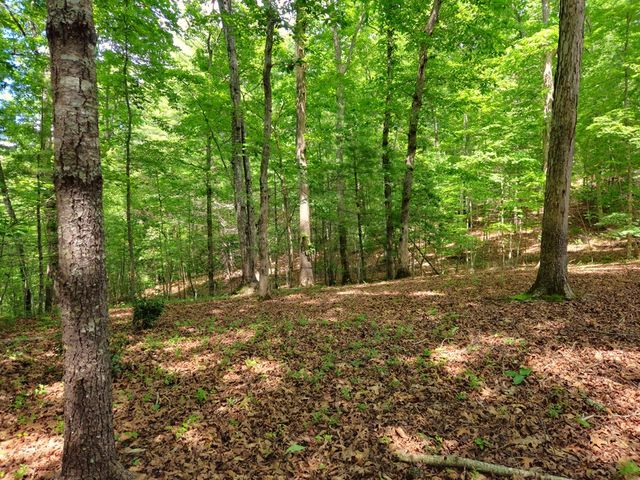 211 Winding Brook Trail, Morganton, GA 30560