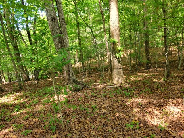 211 Winding Brook Trail, Morganton, GA 30560