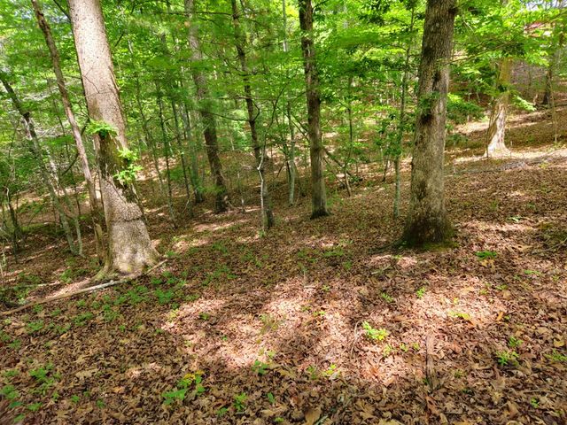 211 Winding Brook Trail, Morganton, GA 30560