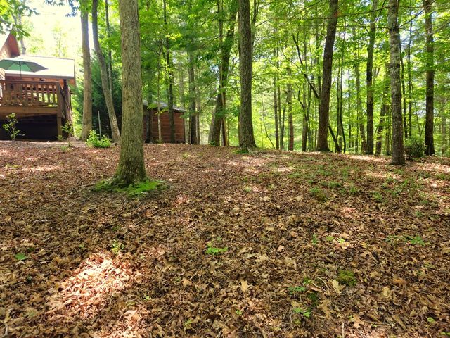 211 Winding Brook Trail, Morganton, GA 30560