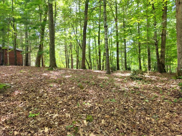 211 Winding Brook Trail, Morganton, GA 30560