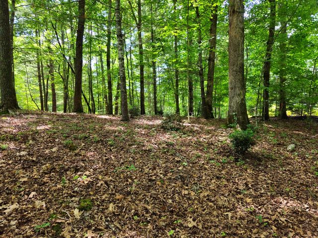211 Winding Brook Trail, Morganton, GA 30560