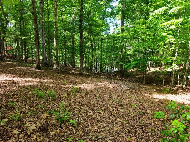 211 Winding Brook Trail, Morganton, GA 30560