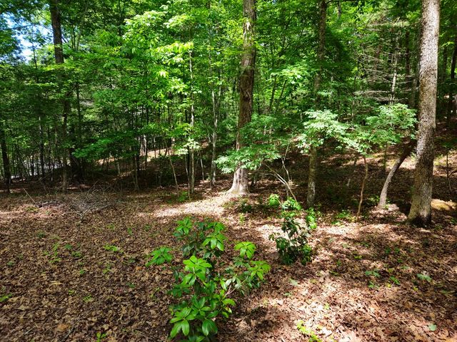 211 Winding Brook Trail, Morganton, GA 30560