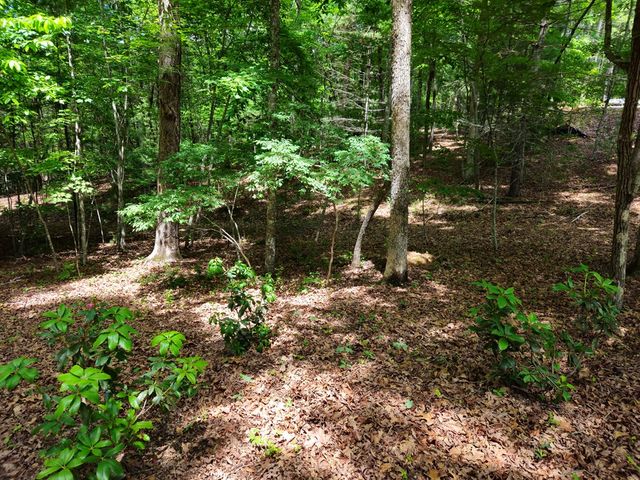 211 Winding Brook Trail, Morganton, GA 30560